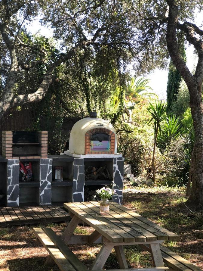 Casa Calma Holiday home El Soto